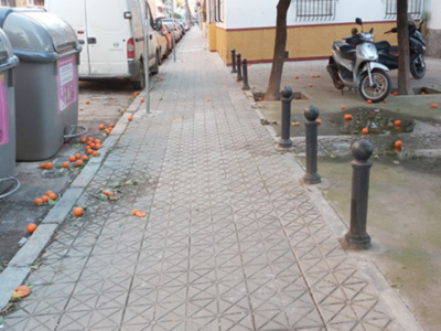 Se pueden ver desperdicios de naranjas dispersas por el suelo, junto a dos contenedores de basura y una motocicleta aparcada en la acera.