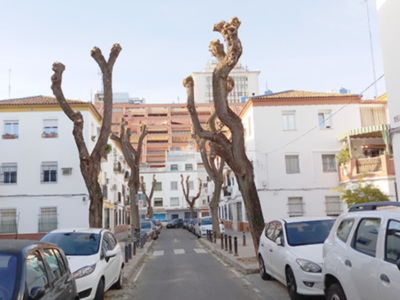 Calles de una ciudad con árboles recortados y edificios blancos.