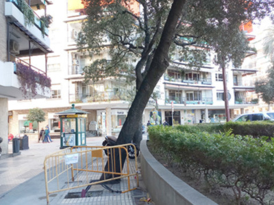 Árbol en una plaza urbana con edificios de apartamentos y una barrera de seguridad en primer plano.