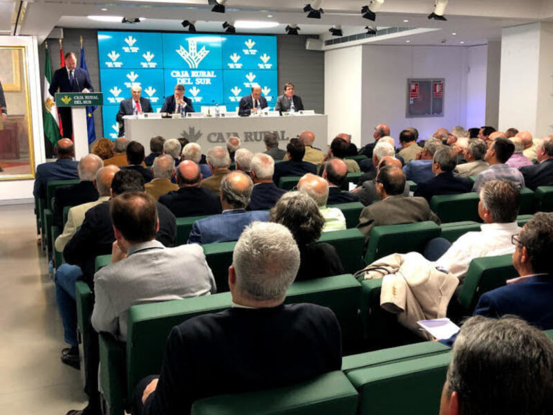 Asamblea CRSUR 2019 y resultados Anuales 2018