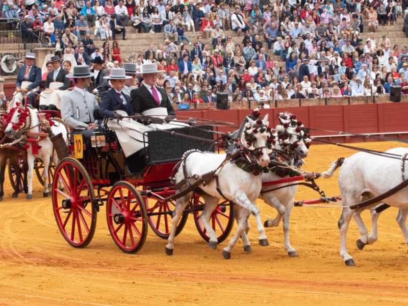 Resultados XXXIV Exhibición Enganches de la Feria de Sevilla