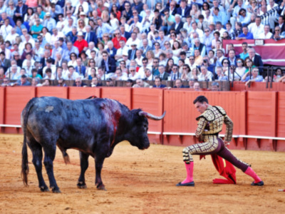 Octavio Chacón, ovacionado en la tarde de Miura