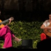 El ciclo Noches en los Jardines  del Real Alcázar de Sevilla enfila  su última semana de conciertos  tras acumular 29.554 asistentes