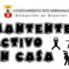 Dos Hermanas pone en marcha la campaña 'Mantente activ@ en casa'