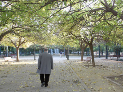 Los parques son espacios bio saludables y por eso urge su apertura