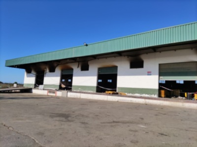 Mercado Rivera anuncia que mañana sábado retomará la actividad en la nave anexa de flor cortada 