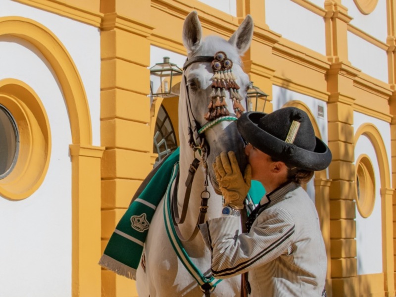 La Real Escuela Andaluza del Arte Ecuestre galardonada en la X edición de los Premios AFA 2020