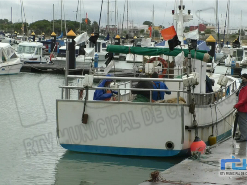 El Consejo Local de Pesca trató el problema del alga invasora, las ordenanzas de Playas y las obras en Puerto Chipiona 