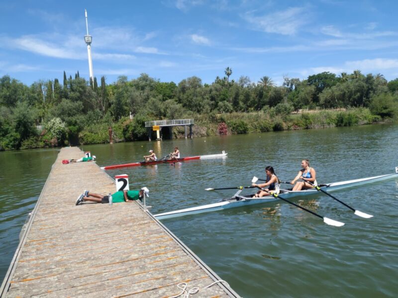Labradores y Náutico dominan la cuarta regata de la Copa de Andalucía de remo