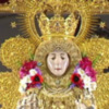 Programación especial en Canal Sur con motivo de la festividad de la Virgen del Rocío