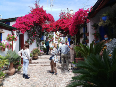 Marroquíes, ganador del Primer Premio del Concurso de Patios 2021 de Córdoba.