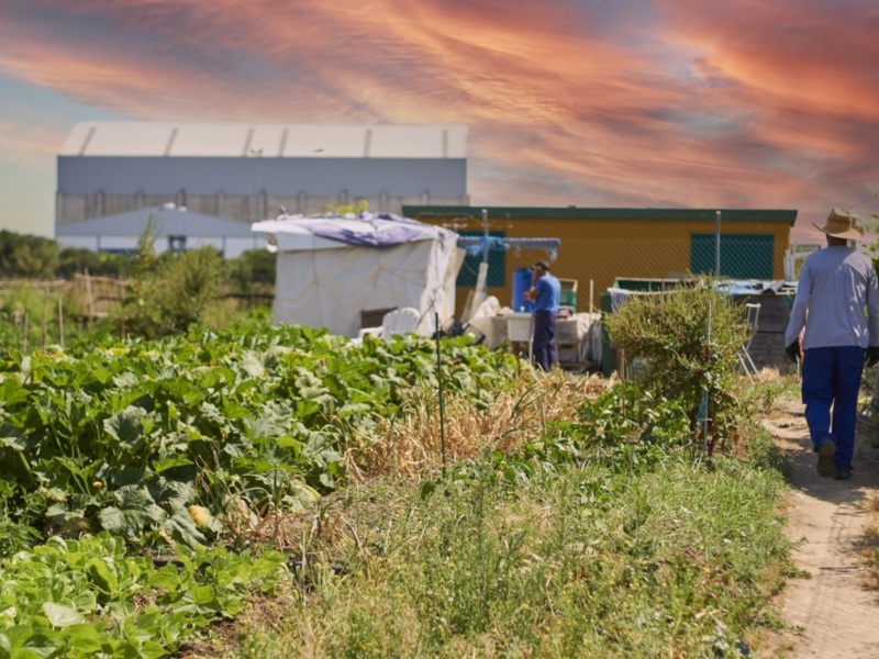 Madre Coraje entrega en tres meses 5.500 kilos de productos de sus huertos a entidades sociales de la provincia de Cádiz 