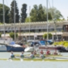 VIII Trofeo Máster Club Náutico Sevilla de remo
