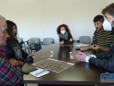 Medio Ambiente y ecologistas chipioneros se unen en la lucha contra el Tomicus en el pinar