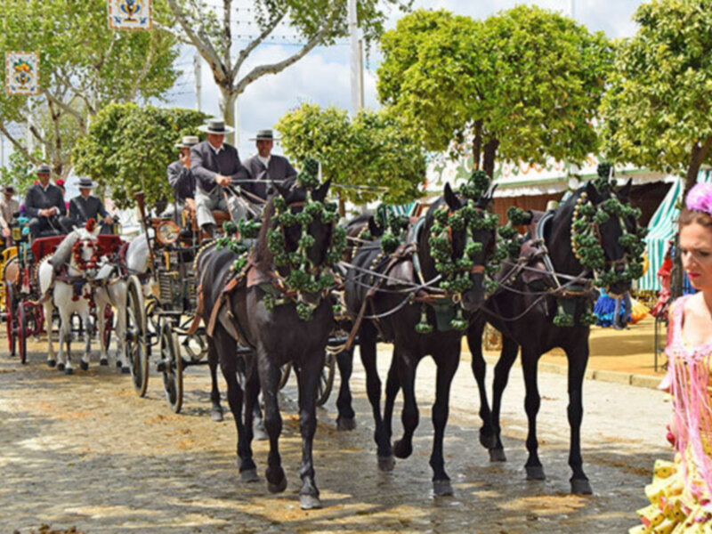 Desfile de carruajes de caballos en una celebración festiva, con jinetes y carrozas adornadas.