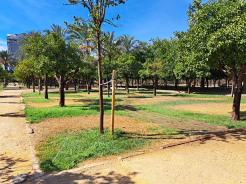 “Estado de abandono de los Jardines de la Buhaira, la esencia de la nueva jardinería hispano árabe en Sevilla”.