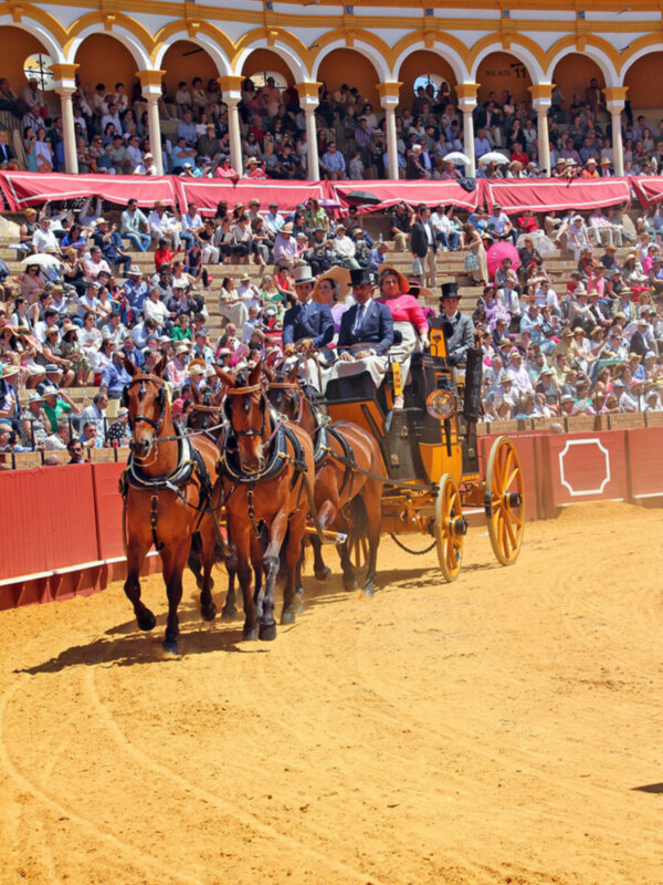 XXXVII Exhibición de Enganches de Sevilla 2023