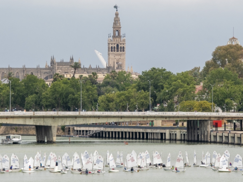 El 45º Trofeo Club Náutico Sevilla de Optimist se queda en el Guadalquivir