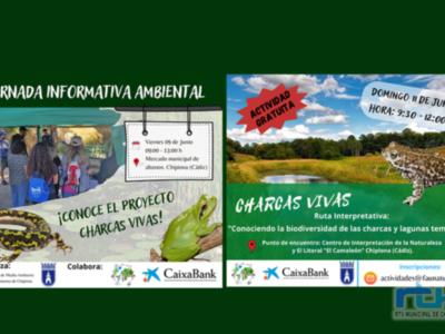 Medio Ambiente organiza una actividad enfocada a la protección de las lagunas y charcas temporales de la comarca 