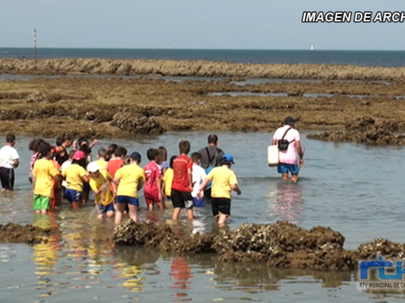 Jarife vuelve a desarrollar este año su programa de visitas a los corrales de pesca para los escolares de Chipiona