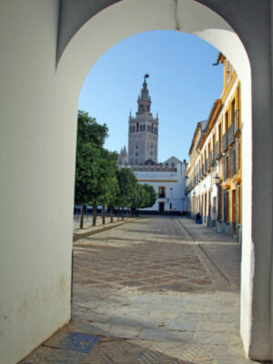La iglesia colegial del Divino Salvador y la catedral sevillana de gratuidad dentro de la política del cabildo Metropolitano hispalense