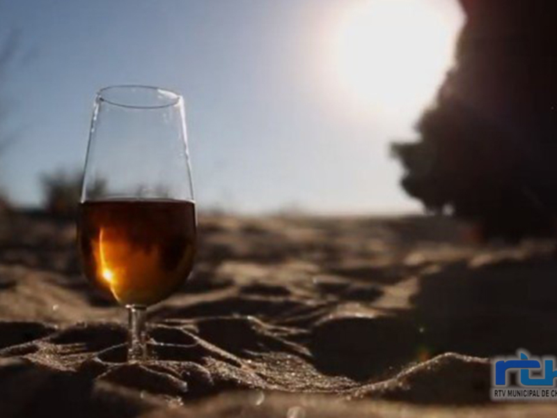 Radio Chipiona ofrecerá la próxima semana una programación especial dedicada a la fiesta local del vino moscatel