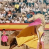La corrida de Tarifa, en directo en Canal Sur