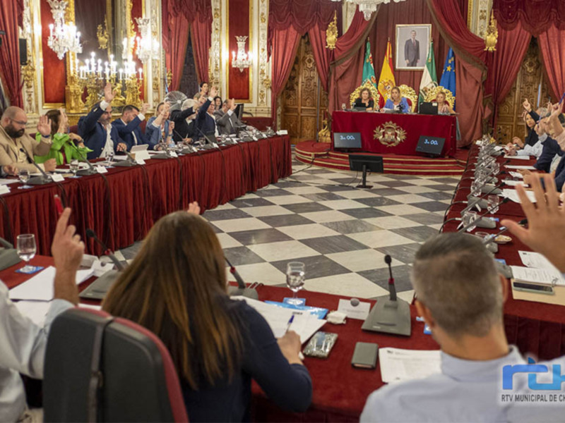 La Diputación de Cádiz plantea un frente común contra la instalación de parques eólicos en el litoral gaditano 