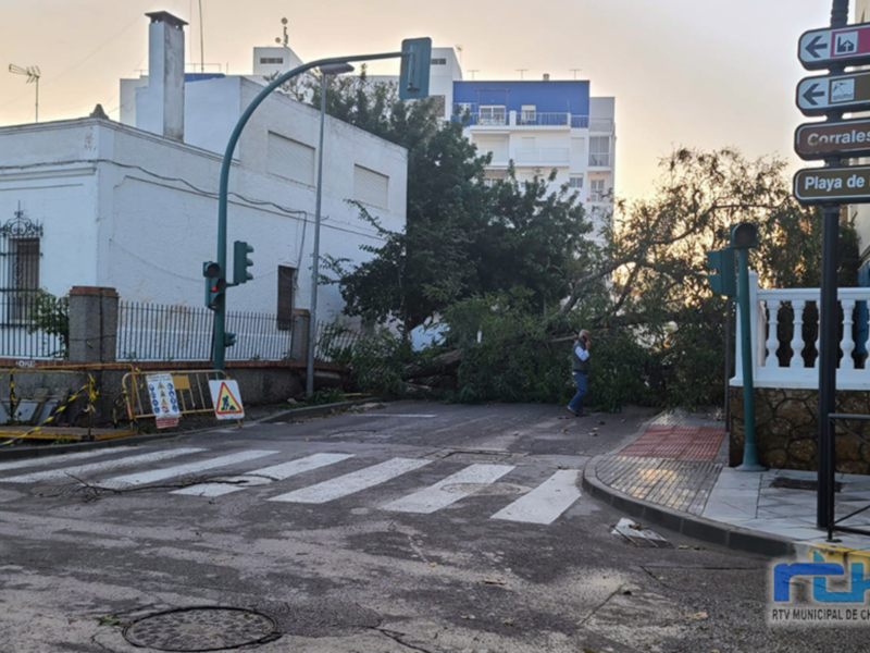 Avenidas y caminos cortados y muchos invernaderos y casi medio centenar de árboles afectados por el temporal de ayer en Chipiona