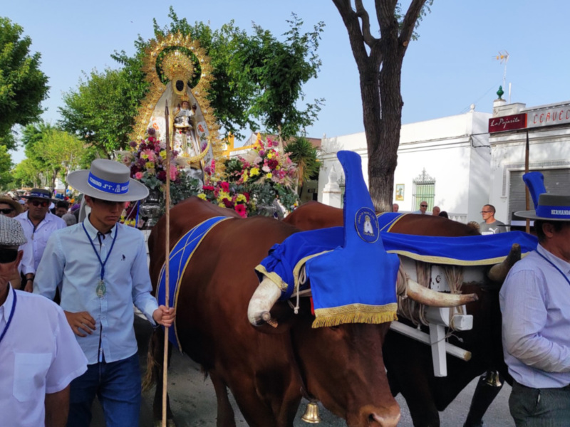 Multitudinaria Romería de la Virgen de Regla, a los Pinares de  Chipiona(Cádiz)