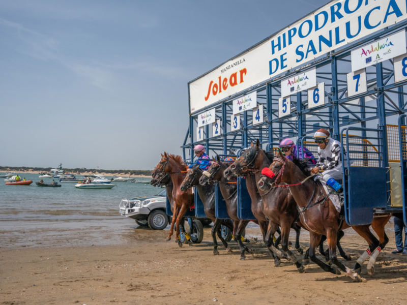 Este próximo miércoles comienzan las carreras de caballos  en las playas de Sanlúcar de Barrameda