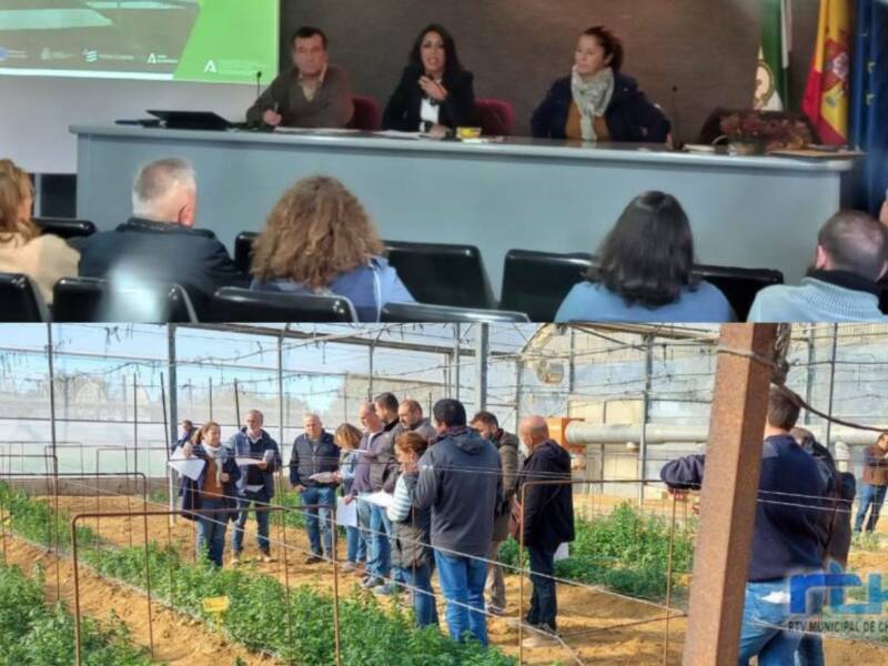 La Junta presenta en Chipiona los resultados preliminares de sus ensayos sobre desinfestación del suelo en hortícolas y flor cortada