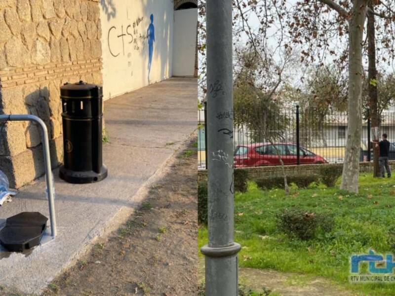 La Delegación de Sanidad coloca papeleras con control de múridos y anillos antitrepamiento para roedores y ratas en palmeras