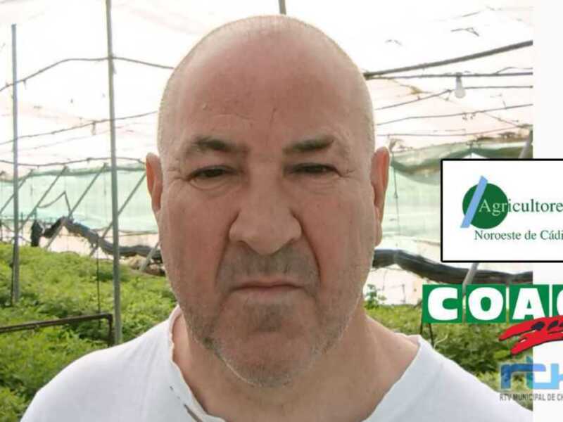 COAG y Asoc. de Agricultores de la Costa Noroeste contabilizan más de 400 hectáreas del campo chipionero afectadas por los últimos temporales 