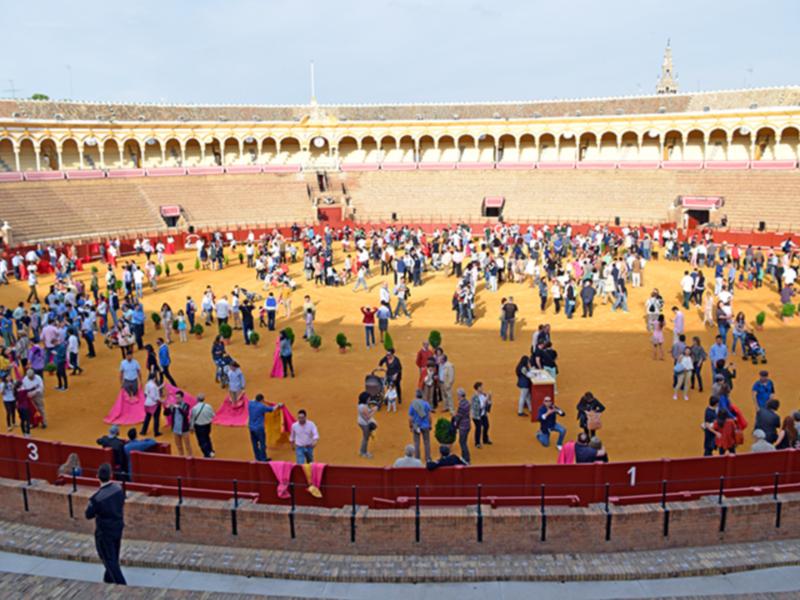 La Real Maestranza de Sevilla acoge a miles de aficionados en su jornada de puertas abiertas al toreo