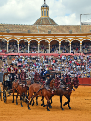 Tradición sobre ruedas los enganches vuelven a brillar en la Feria de Sevilla