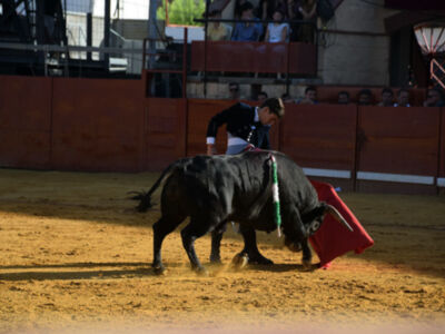El pundonor de Bombita y la solvencia de Cristóbal de Lara marcan el último festejo en La Algaba (Sevilla)