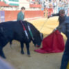Manuel Quintana y Pedro Caminero se van de vacío Cristóbal de Lara corta dos orejas en la Algaba (Sevilla)
