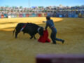 Una imagen de un torero en acción durante una corrida de toros, con el toro negro y la capa roja en movimiento. El fondo muestra una multitud de espectadores en el estadio, con cielo azul y algunas sombras caídas.