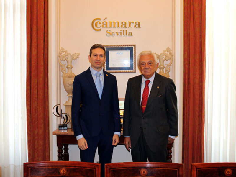  La Cámara presenta en Sevilla las claves para la expansión empresarial en el mayor mercado del mundo