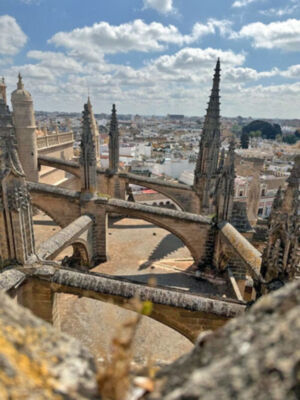  "Descubre el Corazón de Sevilla, la Catedral y su ‘Bosque de Piedra’ que Surca el Cielo"