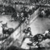BREVES REFLEXIONES SOBRE LA TAUROMAQUIA Y GOYA (I).