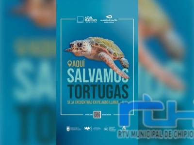 En Chipiona salvamos tortugas marinas
