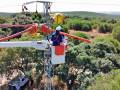 Endesa impulsa en Andalucía nuevas soluciones tecnológicas para reforzar la protección de la avifauna