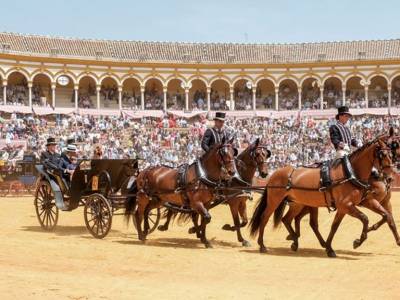 Canal Sur Televisión ofrece este domingo el tradicional Concurso Exhibición de Enganches de Ronda
